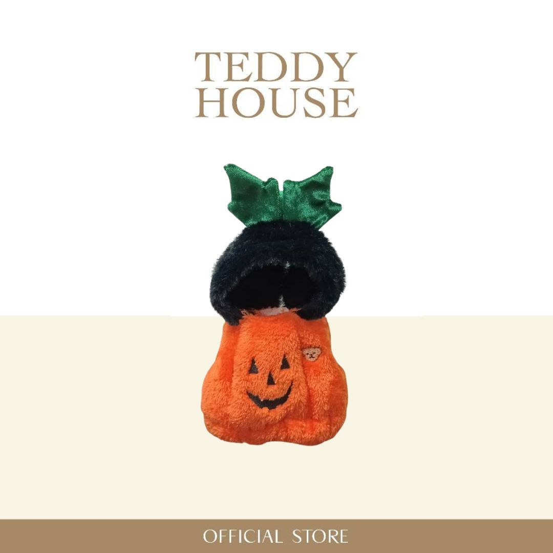 OUTFIT AROMA/KEYCHAIN PUMPKIN 06"