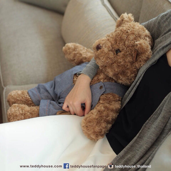 Teddy shop house harga