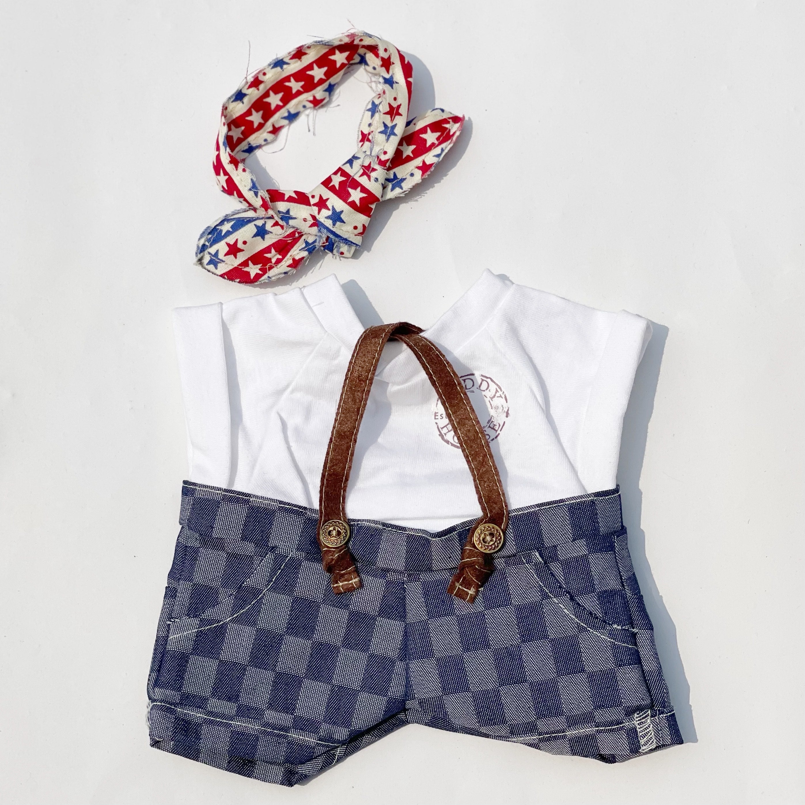 DUNGAREES W/ T-SHIRT 22" - 31" TEDDY IN COUNTRY